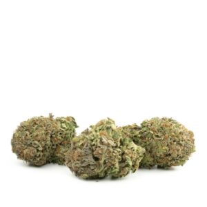Northern Lights